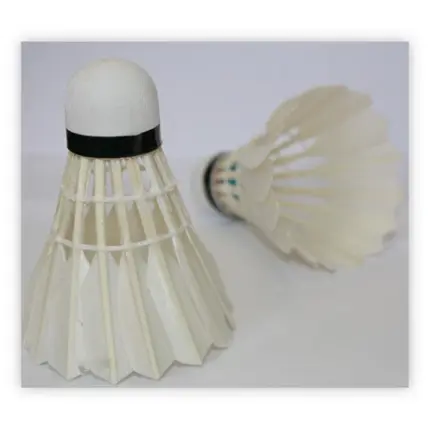 Badminton-Federbälle