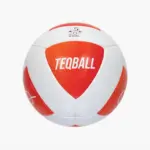 Teqball-Ball